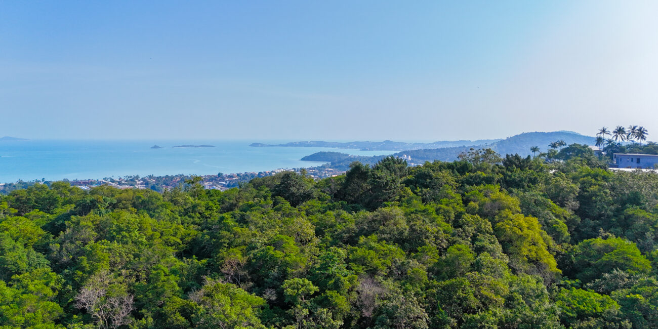 PRIME HILLTOP LAND IN MEANAM SOI 1